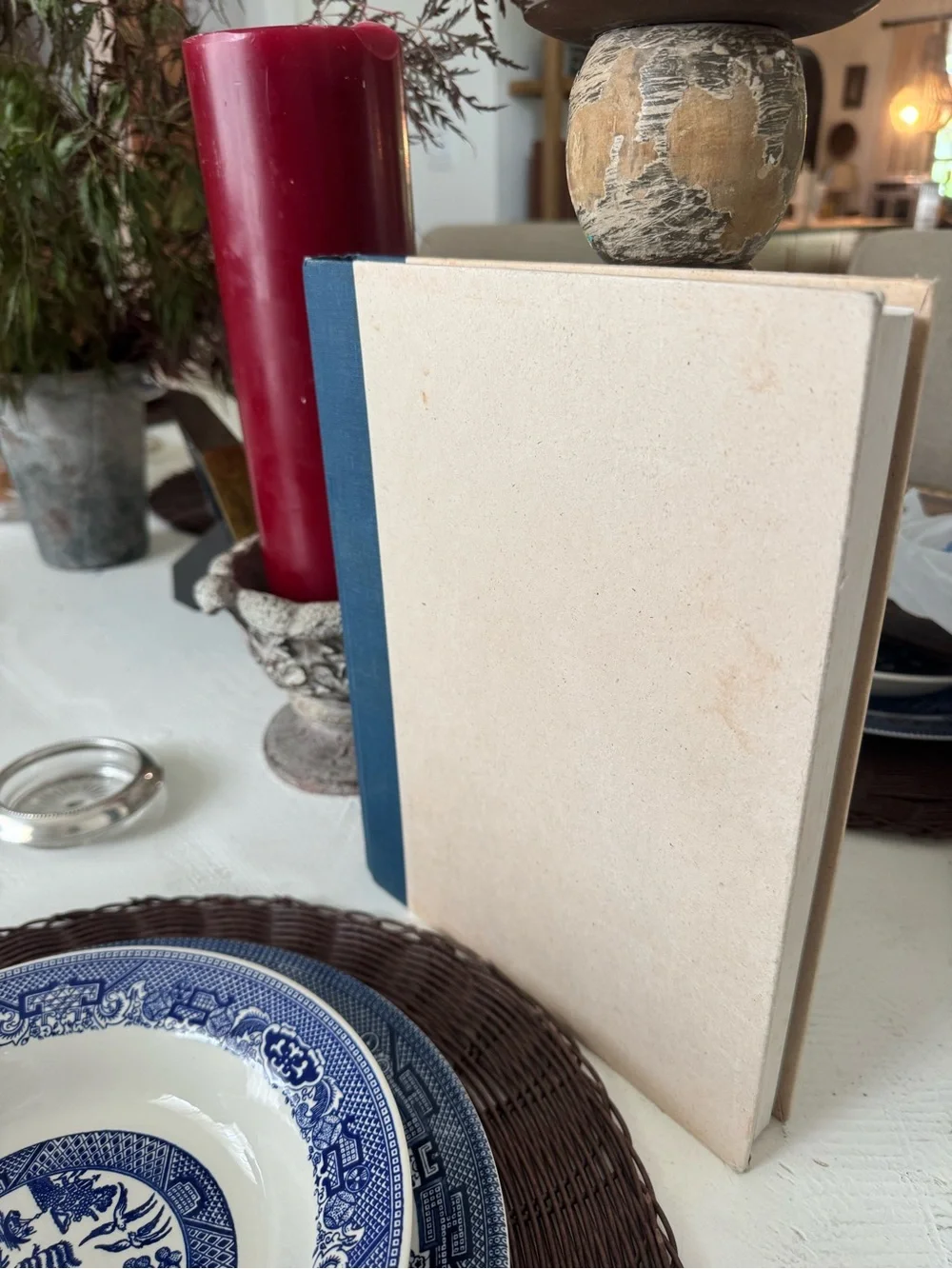 The Cat Owner's Manual Blue Hardcover Book